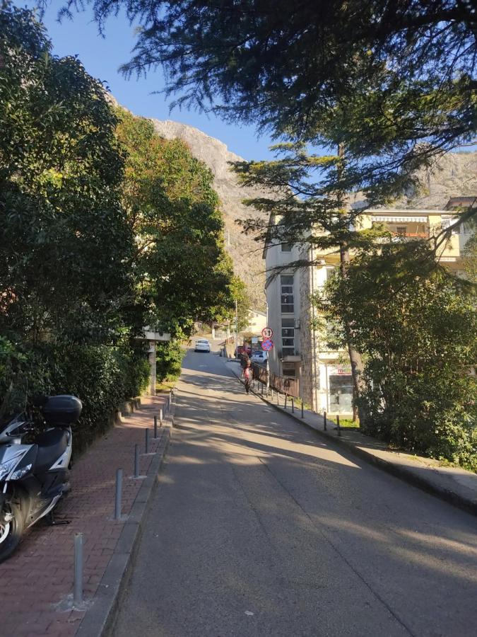 Apartment Oaza Kotor Zewnętrze zdjęcie
