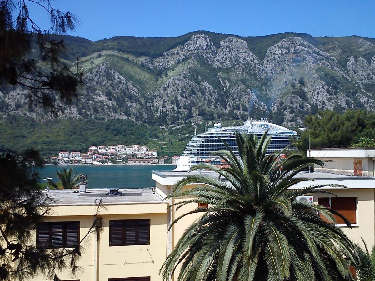 Apartment Oaza Kotor Zewnętrze zdjęcie