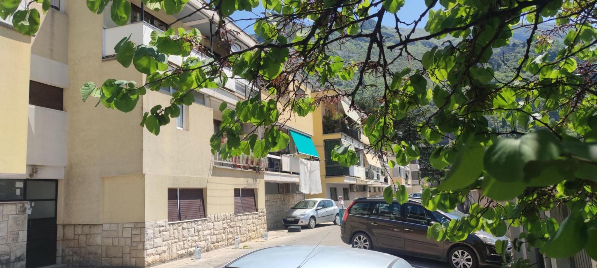 Apartment Oaza Kotor Zewnętrze zdjęcie